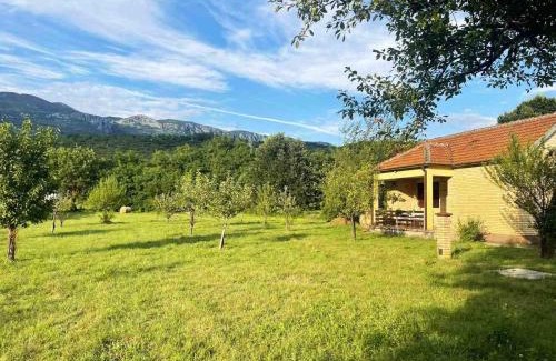Danilovgrad Municipality House | Green Cottage