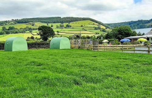 Kingswood House | Green Dragon and Kitchen Pod - Sleeps 2 & Parking