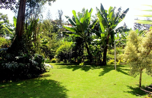 Nkoanrua House | Green Dreams Home