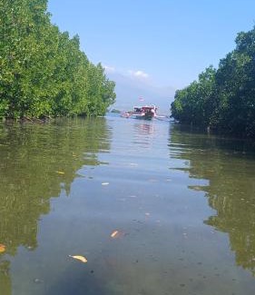 Tetebatu Hotel | Green Escape