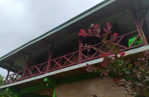 Batang Serangan Hotel | Green Forest Tangkahan