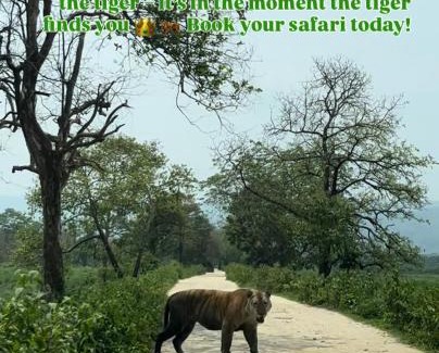 Golaghat House | Green Gables Kaziranga