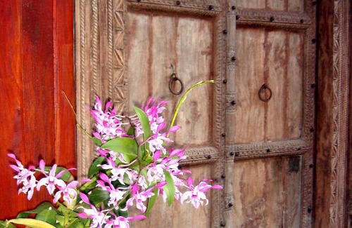 Um Chan Villa | Green Gecko