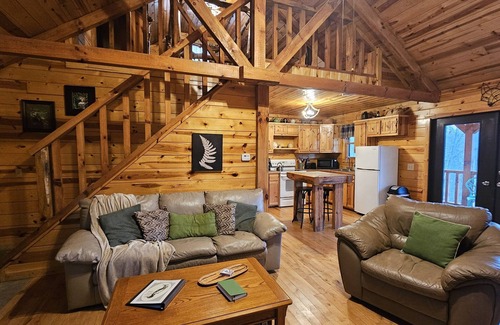 Logan Cabin | Green Heron in Hocking Hills