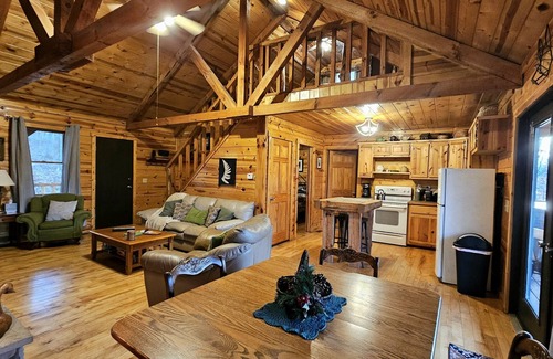 Logan Cabin | Green Heron in Hocking Hills