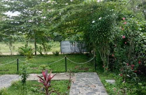Masinagudi House | Green hills farm and guest house aachakarai masinagudi