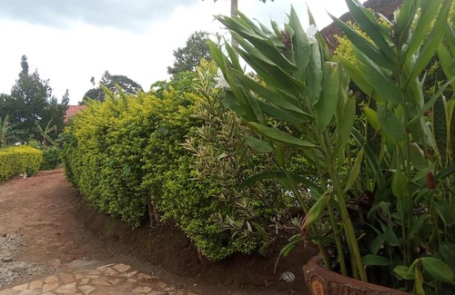 Mityana House | Green Homes