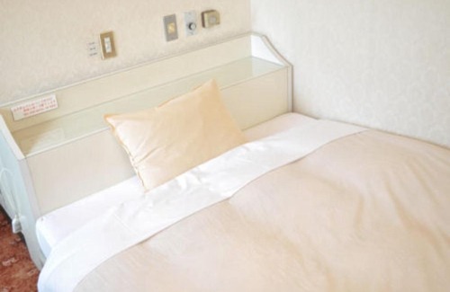 Okazaki Hotel | Green Hotel Rich Tokugawaen - Vacation STAY 02720v
