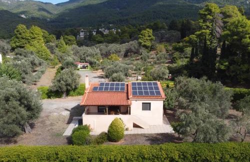 Paradise Beach House | Green House - Εξοχική κατοικία με μεγάλο κήπο