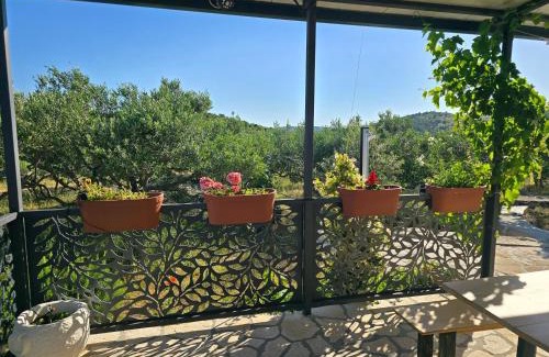 Marina Ski Chalet | Green house
