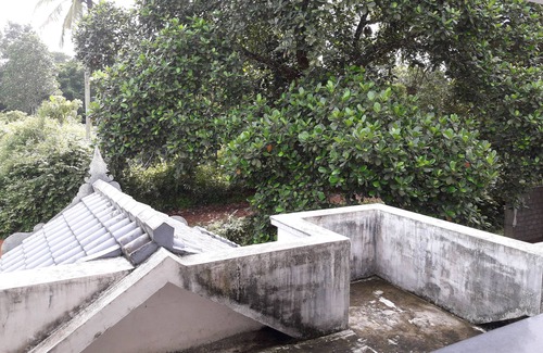 Irinjalakuda House | Green house -Meladoor-Thrissur-Kerala