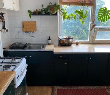 Oliwa Apartment | Green House Oliwa
