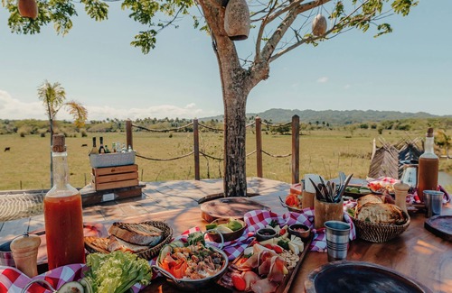 Sabaneta de Yasica RV Rental | Green Land Bubble Glamping By Mint