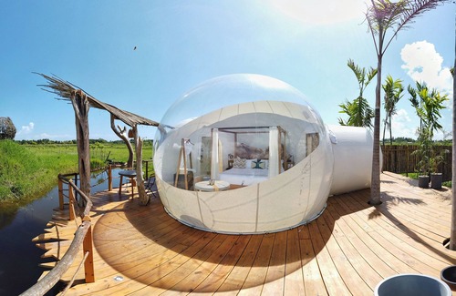 Sabaneta de Yasica RV Rental | Green Land Bubble Glamping By Mint