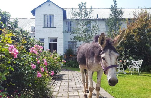 Van Reenen Hotel | Green Lantern Inn