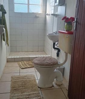 Mahikeng Apartment | Green leaves