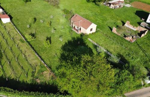 Danilovgrad Municipality House | Green Little Cottage
