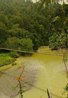 Batang Serangan Cabin | Green Lodge Tangkahan