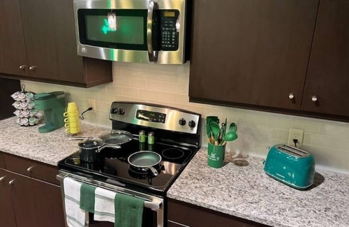 Houston Apartment | Green Manifesto 1 BD/1 Bath Galleria/Downtown