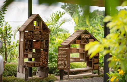 Nong Sarai Bed & Breakfast | Green Me Organic Farm Khao Yai กรีนมี ออแกนิคฟาร์ม เขาใหญ่