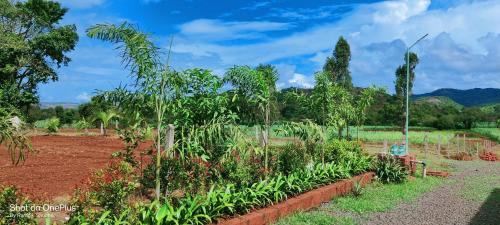 Chandoli Villa | Green Meadows Farm Stay