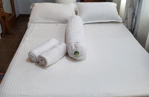 Boracay Island Hotel | Green Monkey Resort Boracay