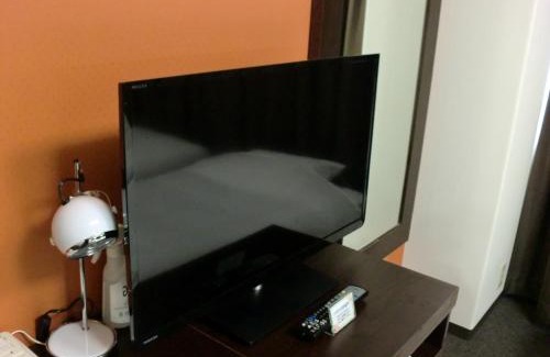 Chuo Ward Hotel | Green Rich Hotel Suizenji