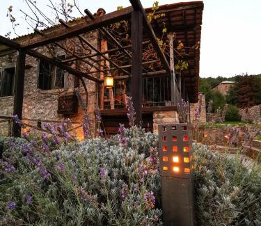 Artemisia House | Green's House