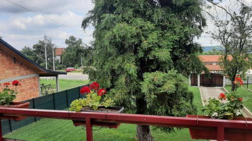 Mladenovac House | Green sanctuary 30 min from downtown Belgrade