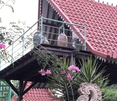 Wanagiri Cabin | green slope villa glamping