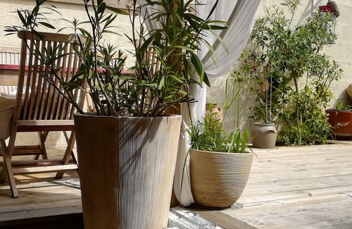 Auray House | Green terrace house