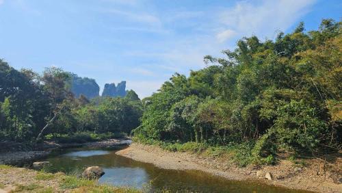 Khlong Sok Cabin | Green Valley Lodge