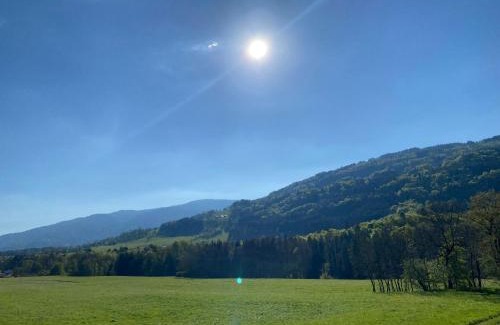 Habere-Lullin House | Green Valley
