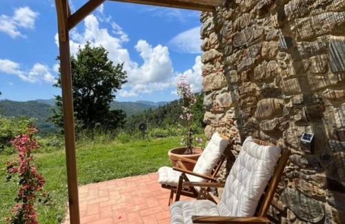Brugnato House | Green Valley House: Bougainvillea