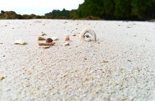 Havelock Island Resort | Green Valley Resort