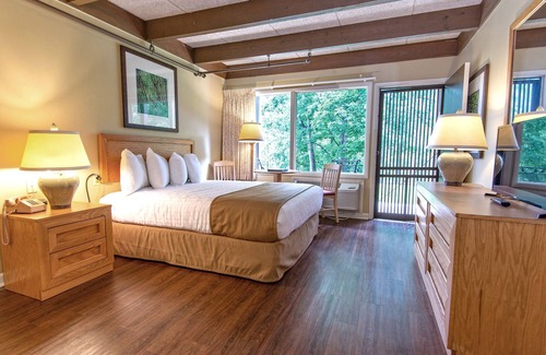 Argillite Cabin | Greenbo Lake State Resort Park