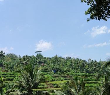 Tetebatu House | Greenday bungalows