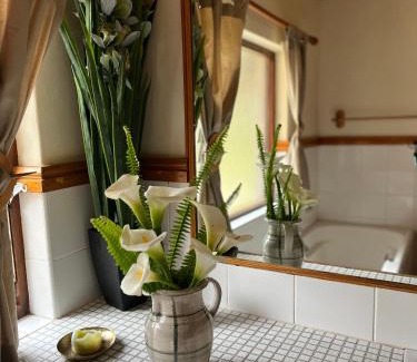 Harkerville House | Greenfern Lodge and Chalets