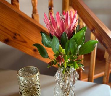 Harkerville House | Greenfern Lodge and Chalets