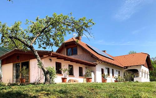 Szolad Villa | Greenhouse