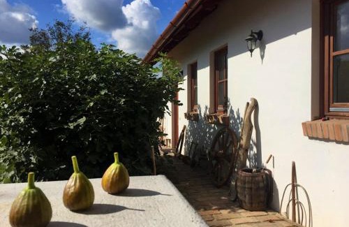 Szolad Villa | Greenhouse