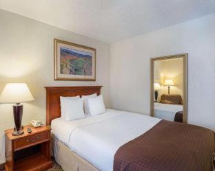 Channelview Hotel | GreenTree Hotel & Extended Stay I-10 FWY Houston, Channelview, Baytown