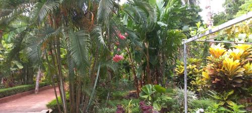 Talipparamba House | greenview homestay Mayyil