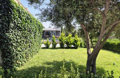 Sumqayit Villa | Greenvilla