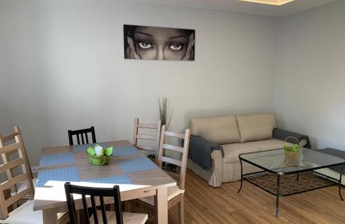 Tarnowskie Gory Apartment | Grey apartment 50 m2