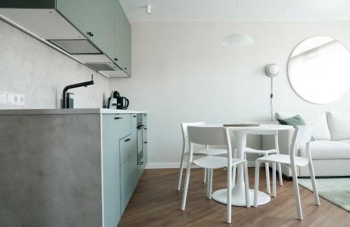 Birstonas Apartment | Grey Green Cozy Apartment