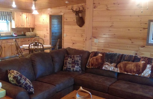 Branchport Cabin | Grey's Getaway Cabin# 3 Cabin is a Slice of heaven in Finger lakes region!