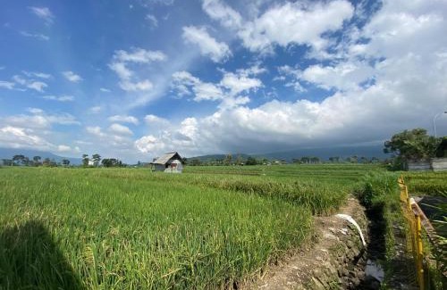 Pacet House | Griya Indah Homestay