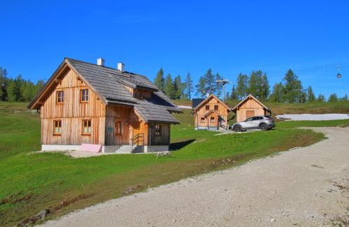 Tauplitz House | große Winklerhütte