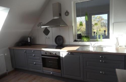 Jaderaltendeich Apartment | Große Wohnung In Diekmannshausen